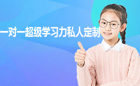 一对一超级学习力私人定制课程
